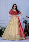 ❤️ Beige & Red Embroidered Lehenga Choli Set for Women | Designer Net Lehenga with Silk Blouse & Dupatta ✨ | Bridal & Festive Wear
